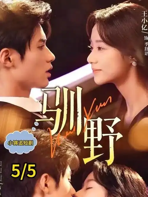 剧集：边缘行者